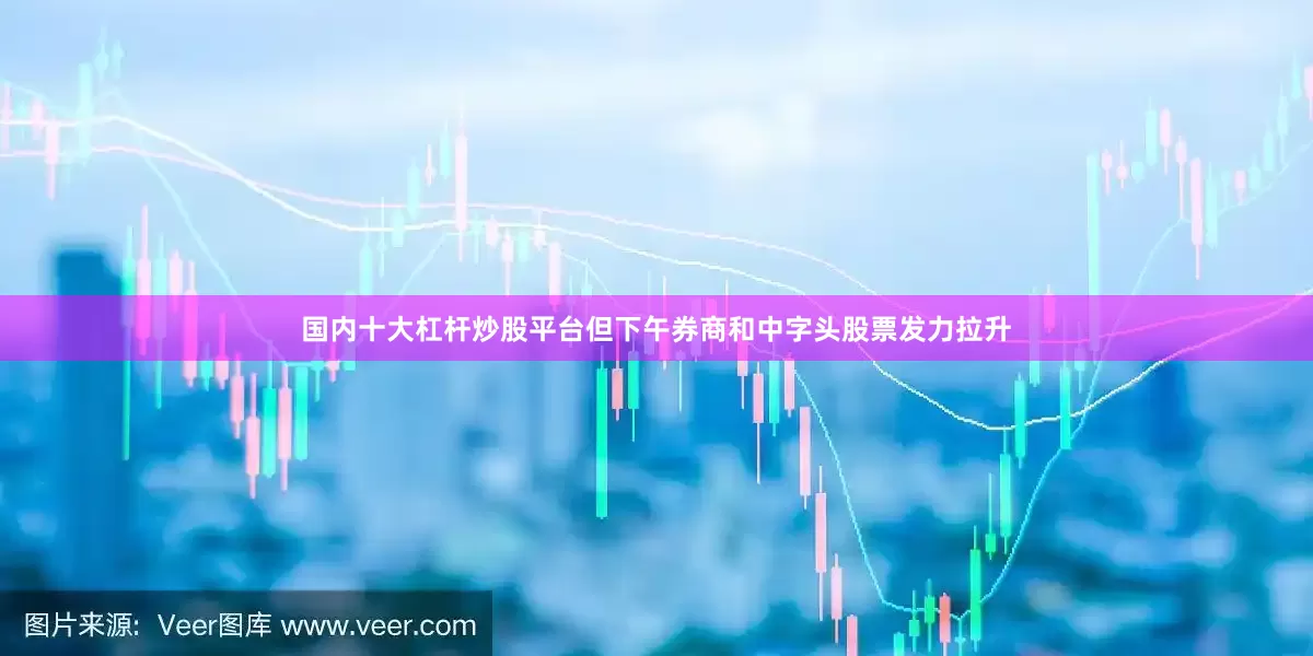 国内十大杠杆炒股平台但下午券商和中字头股票发力拉升